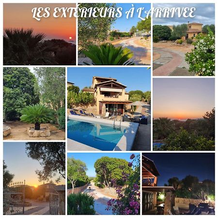 אולביה Villa Saba מראה חיצוני תמונה