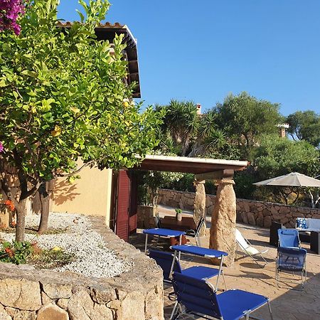 אולביה Villa Saba מראה חיצוני תמונה