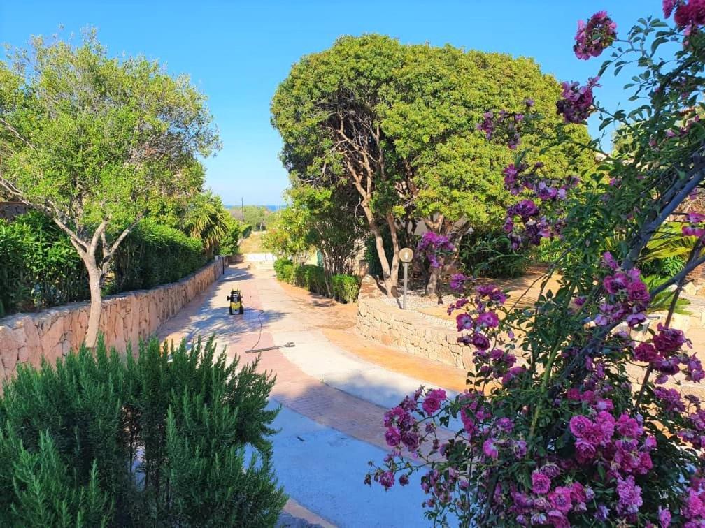 אולביה Villa Saba מראה חיצוני תמונה