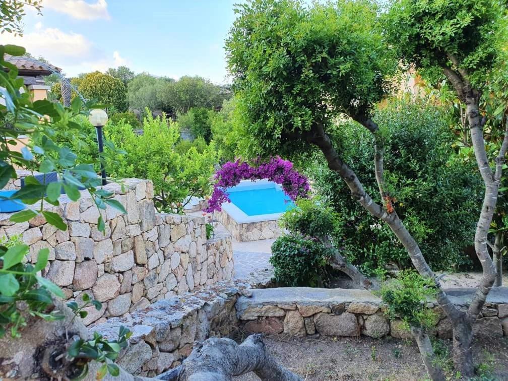 אולביה Villa Saba מראה חיצוני תמונה