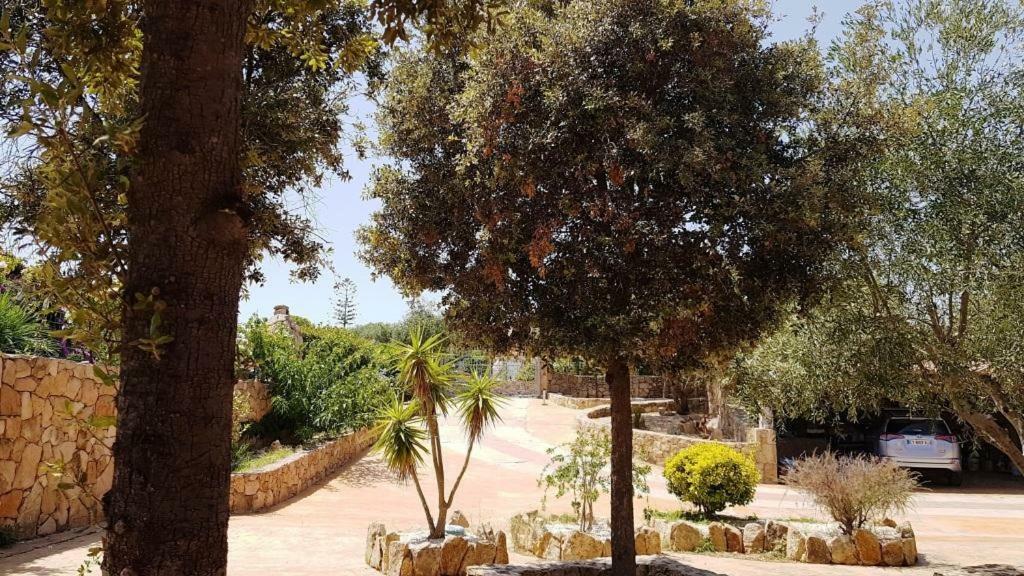 אולביה Villa Saba מראה חיצוני תמונה