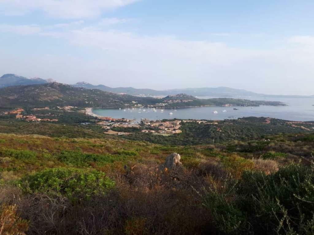 אולביה Villa Saba מראה חיצוני תמונה