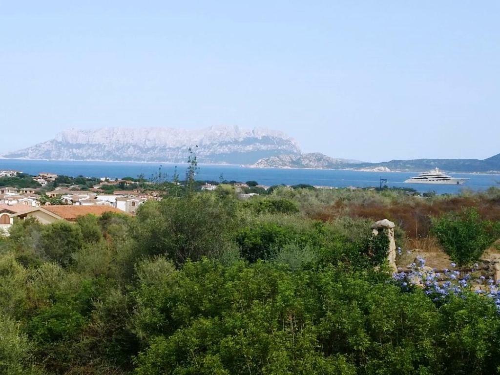 אולביה Villa Saba מראה חיצוני תמונה