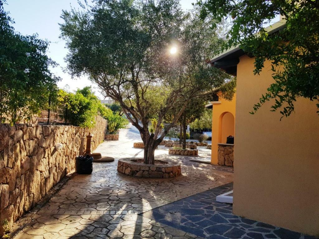 אולביה Villa Saba מראה חיצוני תמונה