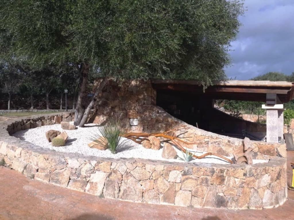 אולביה Villa Saba מראה חיצוני תמונה