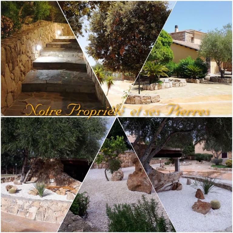אולביה Villa Saba מראה חיצוני תמונה